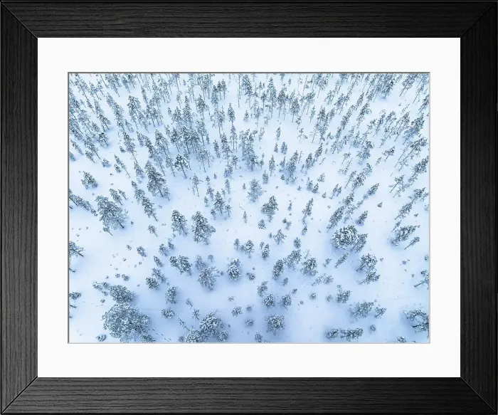 Framed Print : Overhead view of frozen trees in a wintry snowy forest, Lapland, Finland
