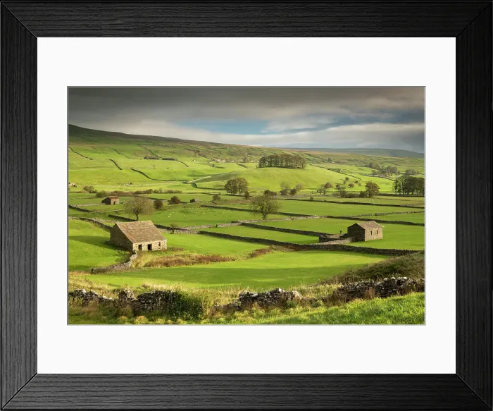 Framed Print : Stone barns and dry stone walls in the rolling countryside of Wensleydale near Hawes, Yorkshire Dales, England. Autumn (October) 2018