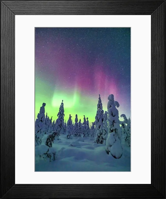 Framed Print : Snowy ice sculptures under the Northern Lights, Iso Syote, Lapland, Finland Framed Print : Snowy ice sculptures under the Northern Lights, Iso Syote, Lapland, Finland