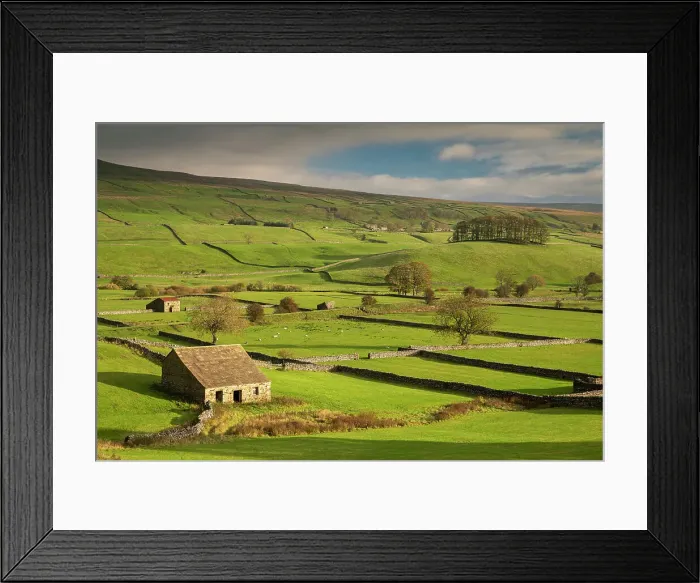 Framed Print : Stone barns and dry stone walls in beautiful Wensleydale in the Yorkshire Dales National Park, Yorkshire, England. Autumn (October) 2018 Framed Print : Stone barns and dry stone walls in beautiful Wensleydale in the Yorkshire Dales National Park, Yorkshire, England. Autumn (October) 2018