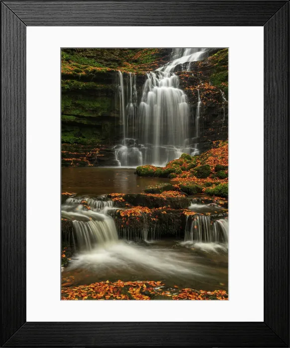 Framed Print : Scalebor Force waterfall in the Yorkshire Dales National Park, North Yorkshire, England. Autumn (October) 2018 Framed Print : Scalebor Force waterfall in the Yorkshire Dales National Park, North Yorkshire, England. Autumn (October) 2018