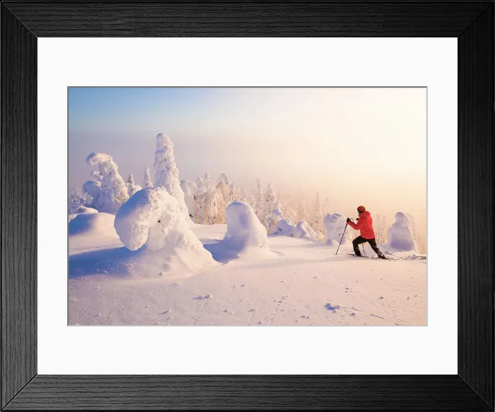 Framed Print : Tourist snowshoeing in the surreal winter landscape of Finnish Lapland at sunrise Framed Print : Tourist snowshoeing in the surreal winter landscape of Finnish Lapland at sunrise