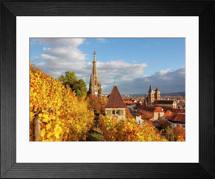 Framed Print : View from autumn vineyards to the old town of Esslingen, Baden-Wurttemberg, Germany Framed Print : View from autumn vineyards to the old town of Esslingen, Baden-Wurttemberg, Germany