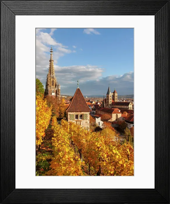 Framed Print : View from autumn vineyards to the old town of Esslingen, Baden-Wurttemberg, Germany