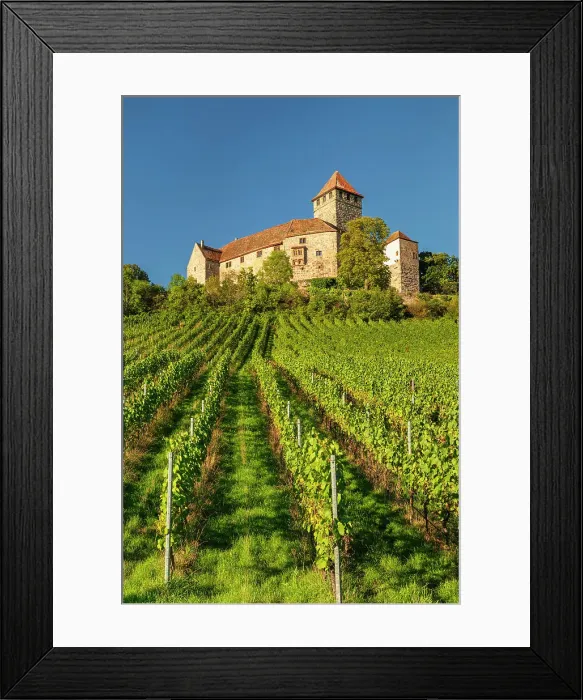 Framed Print : Burg Lichtenberg Castle, Oberstenfeld, Bottwartal, Baden-Wurttemberg, Germany Framed Print : Burg Lichtenberg Castle, Oberstenfeld, Bottwartal, Baden-Wurttemberg, Germany