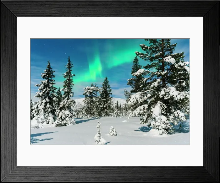 Framed Print : Frozen trees covered with snow under the Northern Lights, Lapland, Finland