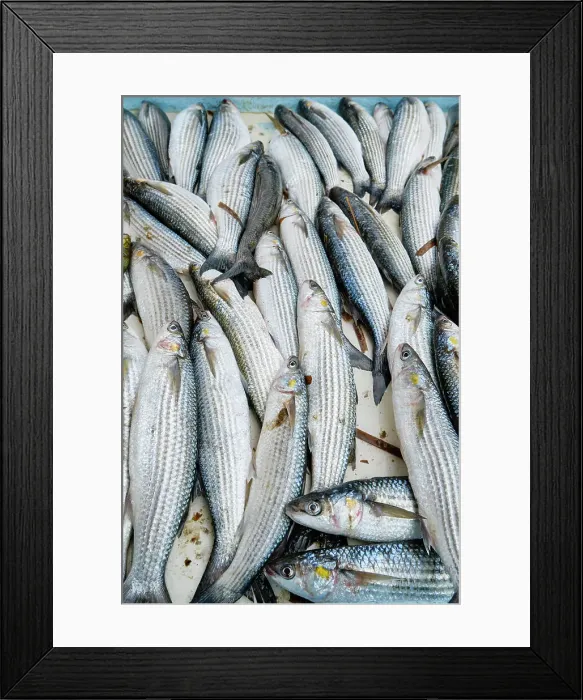 Framed Print : Fish market (Marche aux Poissons) at the Old Port (Vieux Port) in the city center by the Mediterranean Sea. Marseille, France Framed Print : Fish market (Marche aux Poissons) at the Old Port (Vieux Port) in the city center by the Mediterranean Sea. Marseille, France