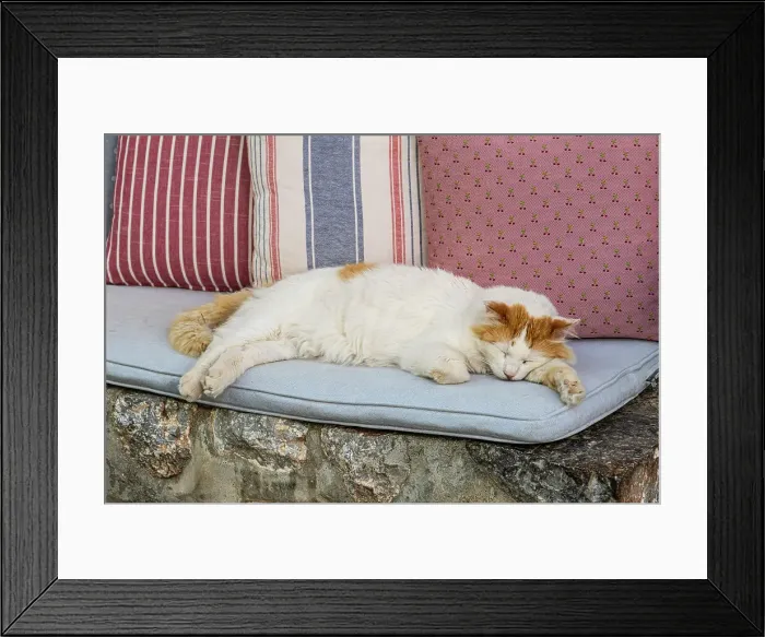 Framed Print : Sleeping cat, Hydra Town, Hydra (Ydra), Saronic Islands, Greece Framed Print : Sleeping cat, Hydra Town, Hydra (Ydra), Saronic Islands, Greece