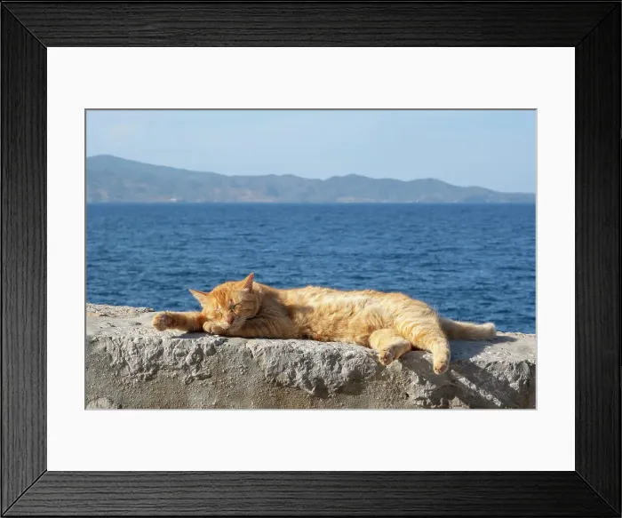 Framed Print : Sleeping cat, Hydra Town, Hydra (Ydra), Saronic Islands, Greece Framed Print : Sleeping cat, Hydra Town, Hydra (Ydra), Saronic Islands, Greece