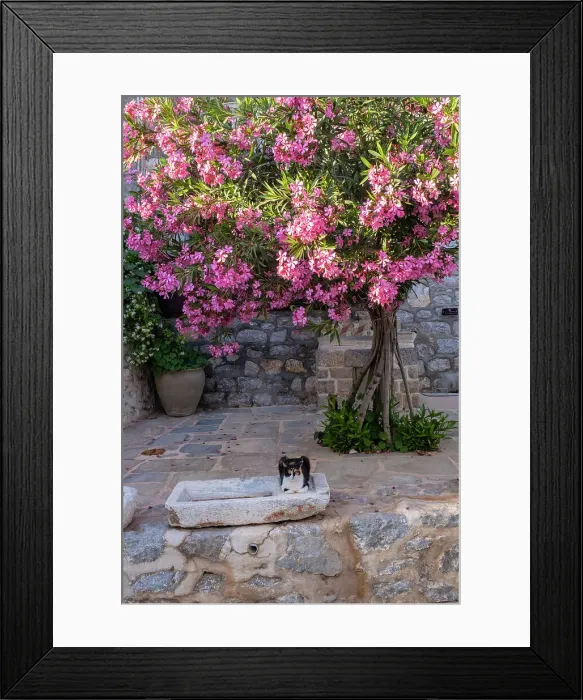 Framed Print : Hydra Town, Hydra (Ydra), Saronic Islands, Greece