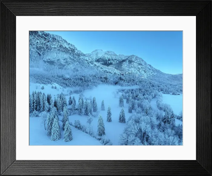 Framed Print : Neuschwanstein castle, Schwangau, Fussen, Swabia, Bavarian Alps, Bavaria, Germany Framed Print : Neuschwanstein castle, Schwangau, Fussen, Swabia, Bavarian Alps, Bavaria, Germany