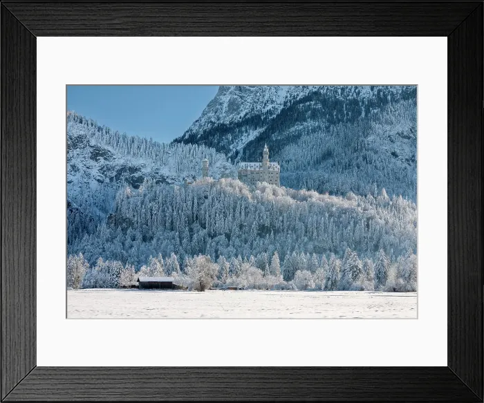 Framed Print : Neuschwanstein castle, Schwangau, Fussen, Swabia, Bavarian Alps, Bavaria, Germany Framed Print : Neuschwanstein castle, Schwangau, Fussen, Swabia, Bavarian Alps, Bavaria, Germany