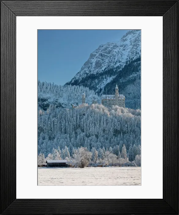 Framed Print : Neuschwanstein castle, Schwangau, Fussen, Swabia, Bavarian Alps, Bavaria, Germany Framed Print : Neuschwanstein castle, Schwangau, Fussen, Swabia, Bavarian Alps, Bavaria, Germany