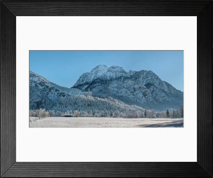 Framed Print : Neuschwanstein castle, Schwangau, Fussen, Swabia, Bavarian Alps, Bavaria, Germany Framed Print : Neuschwanstein castle, Schwangau, Fussen, Swabia, Bavarian Alps, Bavaria, Germany