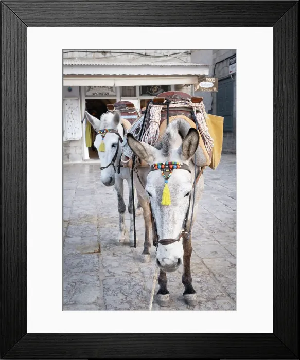 Framed Print : Mules / horses at the Harbour of Hydra Town, Hydra (Ydra), Saronic Islands, Greece Framed Print : Mules / horses at the Harbour of Hydra Town, Hydra (Ydra), Saronic Islands, Greece