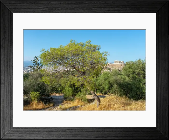 Framed Print : Parthenon on the acropolis from Philopappos Hill, Athens, Greece Framed Print : Parthenon on the acropolis from Philopappos Hill, Athens, Greece