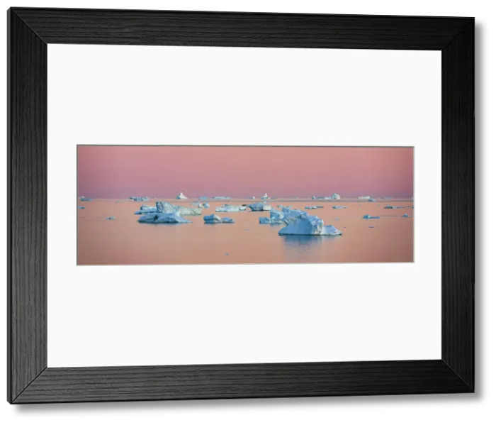 Framed Print : Icebergs at sunrise off of Qaanaaq formerly known as Thule or New Thule, is the main town in the northern part of the Avannaata municipality in northwestern Greenland Framed Print : Icebergs at sunrise off of Qaanaaq formerly known as Thule or New Thule, is the main town in the northern part of the Avannaata municipality in northwestern Greenland