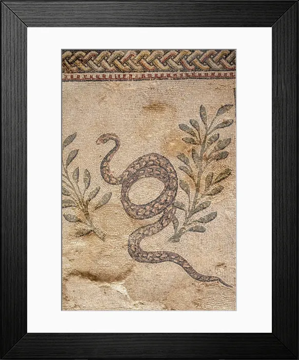 Framed Print : Europe, Italy, Sicily, Piazza Armerina. Villa Romana del Casale, mosaics Framed Print : Europe, Italy, Sicily, Piazza Armerina. Villa Romana del Casale, mosaics