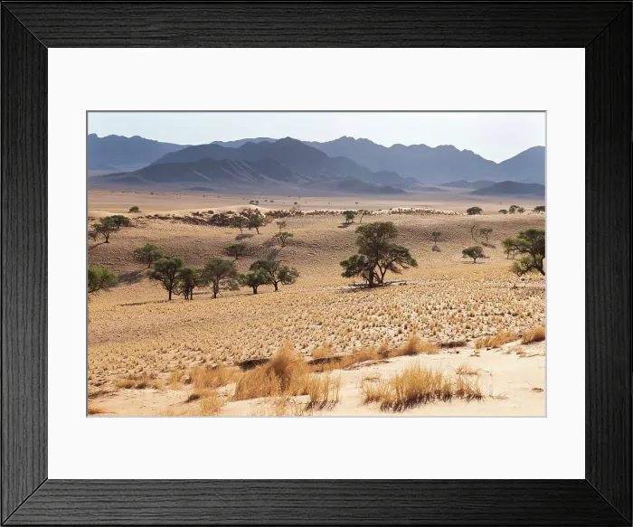 Framed Print : Desert landscape, Wolwedans, NamibRand Nature Reserve, Namibia, Africa Framed Print : Desert landscape, Wolwedans, NamibRand Nature Reserve, Namibia, Africa