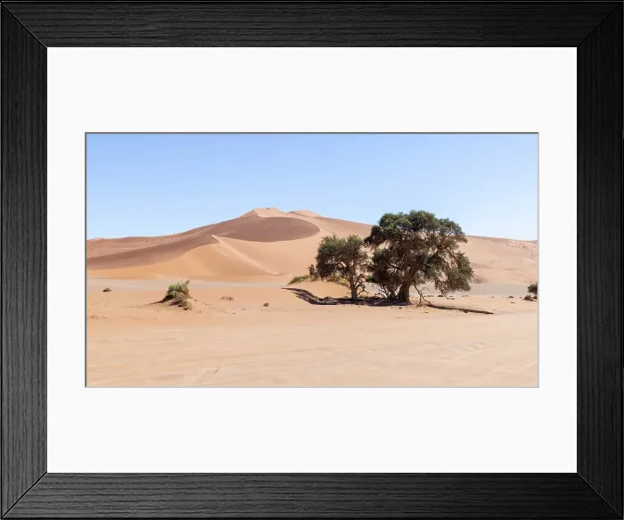 Framed Print : Sossuvlei, Namib Naukluft National Park, Namibia, Africa Framed Print : Sossuvlei, Namib Naukluft National Park, Namibia, Africa