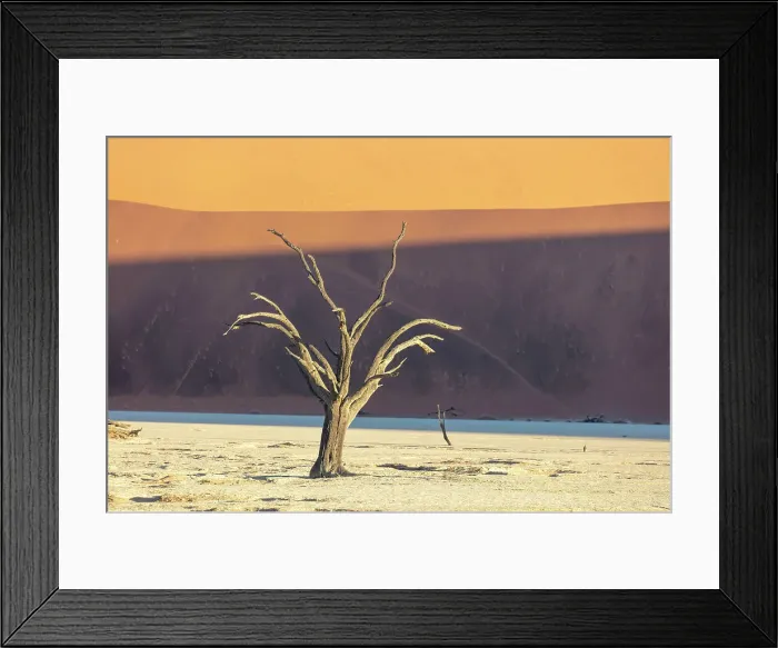 Framed Print : Deadvlei salt pan, Sossuvlei, Namib Naukluft National Park, Hardap region, Namibia, Africa Framed Print : Deadvlei salt pan, Sossuvlei, Namib Naukluft National Park, Hardap region, Namibia, Africa