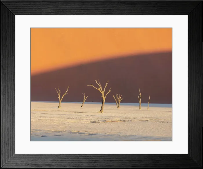 Framed Print : Deadvlei salt pan, Sossuvlei, Namib Naukluft National Park, Hardap region, Namibia, Africa Framed Print : Deadvlei salt pan, Sossuvlei, Namib Naukluft National Park, Hardap region, Namibia, Africa