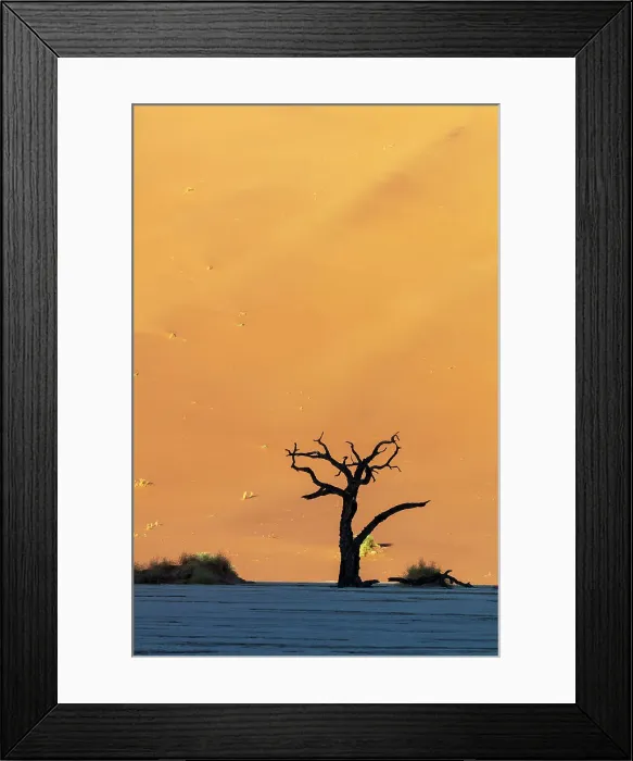 Framed Print : Deadvlei salt pan, Sossuvlei, Namib Naukluft National Park, Hardap region, Namibia, Africa Framed Print : Deadvlei salt pan, Sossuvlei, Namib Naukluft National Park, Hardap region, Namibia, Africa