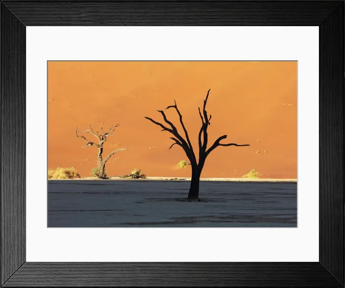 Framed Print : Deadvlei salt pan, Sossuvlei, Namib Naukluft National Park, Hardap region, Namibia, Africa Framed Print : Deadvlei salt pan, Sossuvlei, Namib Naukluft National Park, Hardap region, Namibia, Africa