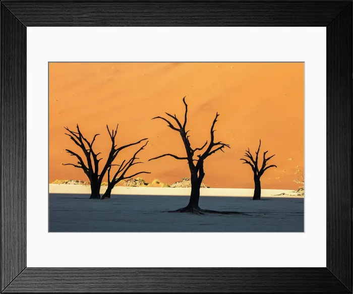 Framed Print : Deadvlei salt pan, Sossuvlei, Namib Naukluft National Park, Hardap region, Namibia, Africa Framed Print : Deadvlei salt pan, Sossuvlei, Namib Naukluft National Park, Hardap region, Namibia, Africa