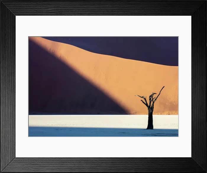 Framed Print : Deadvlei salt pan, Sossuvlei, Namib Naukluft National Park, Hardap region, Namibia, Africa Framed Print : Deadvlei salt pan, Sossuvlei, Namib Naukluft National Park, Hardap region, Namibia, Africa