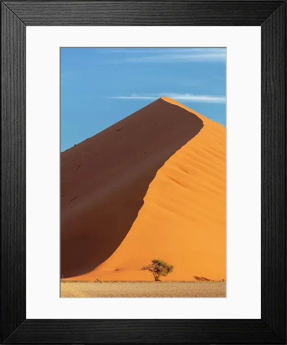 Framed Print : Dune 40, Sossuvlei, Namib Naukluft National Park, Namibia, Africa Framed Print : Dune 40, Sossuvlei, Namib Naukluft National Park, Namibia, Africa