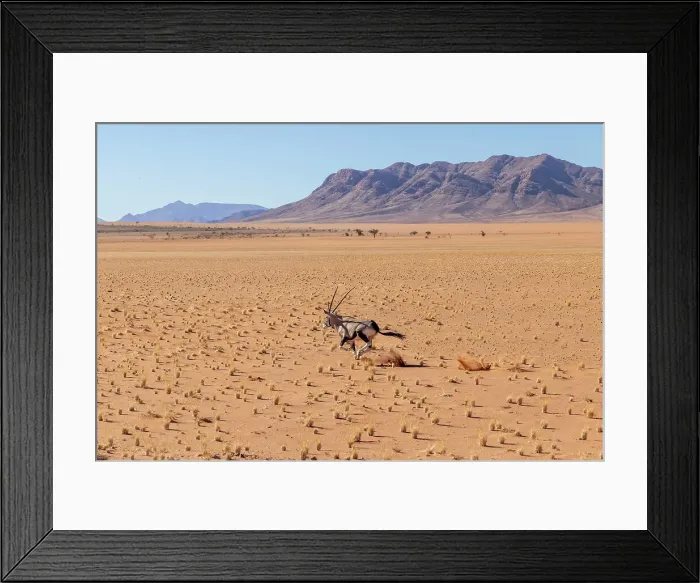 Framed Print : Running Oryx, Namibia, Africa Framed Print : Running Oryx, Namibia, Africa