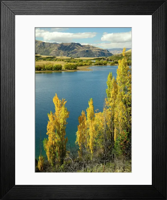 Framed Print : New Zealand, South Island, Otago, Wanaka, Wanaka lake and poplar trees in autumn Framed Print : New Zealand, South Island, Otago, Wanaka, Wanaka lake and poplar trees in autumn