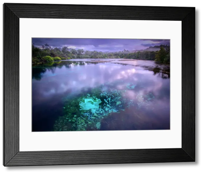 Framed Print : New Zealand; South Island, Takaka, Golden Bay, Te Waikoropupu Springs, spring at dawn Framed Print : New Zealand; South Island, Takaka, Golden Bay, Te Waikoropupu Springs, spring at dawn
