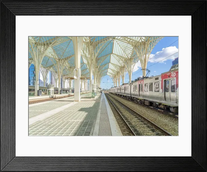 Framed Print : Oriente train station, Lisbon, Portugal, Europe