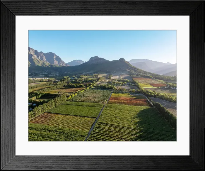 Framed Print : Aerial view of Franschhoek wine region, Franschhoek, Western Cape, South Africa Framed Print : Aerial view of Franschhoek wine region, Franschhoek, Western Cape, South Africa