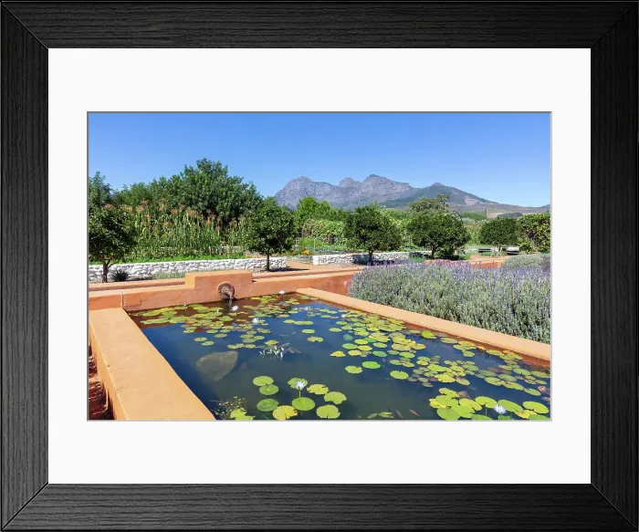 Framed Print : Babylonstoren wine estate, Franschhoek, Western Cape, South Africa