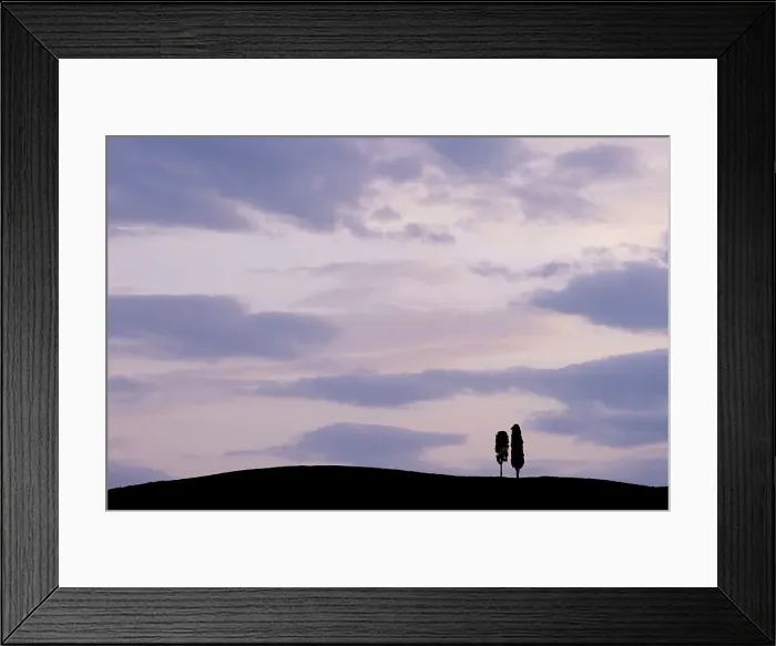 Framed Print : Two Cypress Tress in the Val D'Orcia, Tuscany, Italy Framed Print : Two Cypress Tress in the Val D'Orcia, Tuscany, Italy