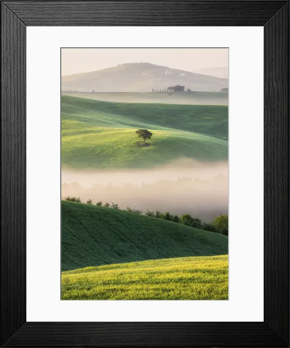 Framed Print : Misty morning in the Val D'orcia, Tuscany, Italy Framed Print : Misty morning in the Val D'orcia, Tuscany, Italy