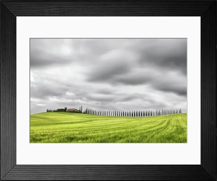 Framed Print : Viale di cipressi near Bagno Vignoni, Val D'Orcia, Tuscany, Italy Framed Print : Viale di cipressi near Bagno Vignoni, Val D'Orcia, Tuscany, Italy