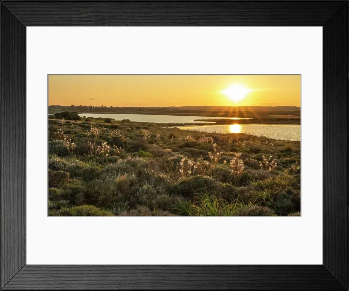 Framed Print : Europe, Italy, Sicily. The nature reserve of Vendicari