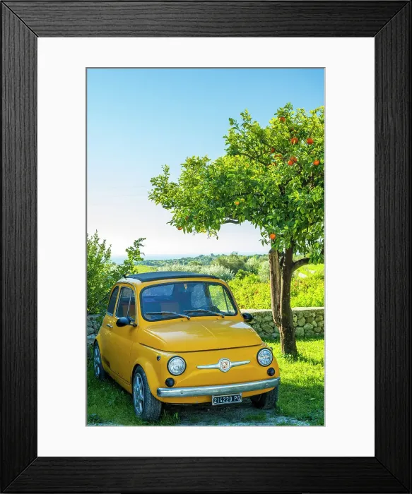 Framed Print : Europe, Italy, Sicily. A Fiat 500 under an orange tree