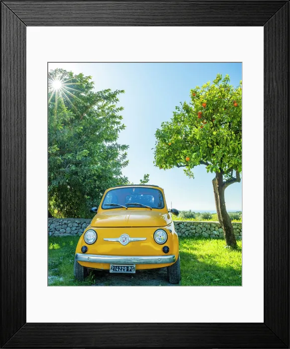 Framed Print : Europe, Italy, Sicily. A Fiat 500 under an orange tree Framed Print : Europe, Italy, Sicily. A Fiat 500 under an orange tree