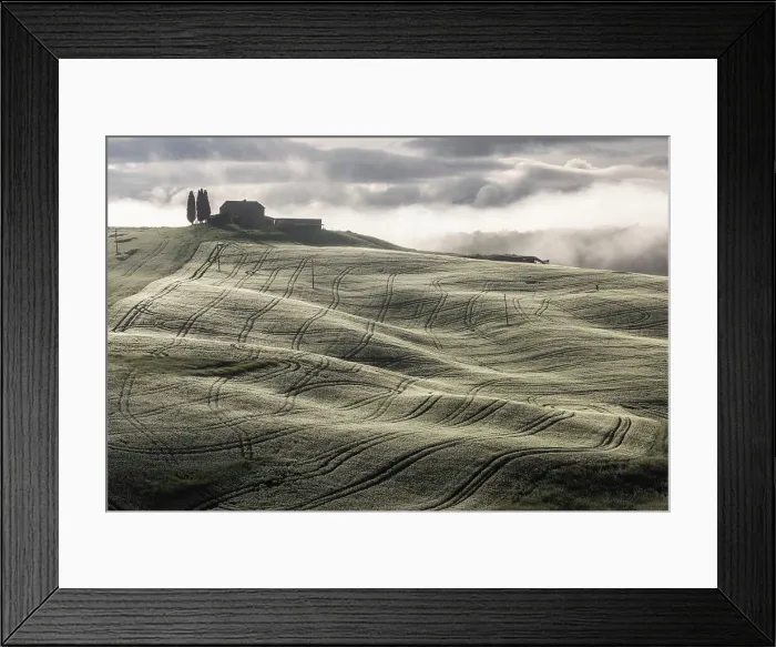Framed Print : Rolling countryside in the Val D'orcia, Tuscany, Italy Framed Print : Rolling countryside in the Val D'orcia, Tuscany, Italy