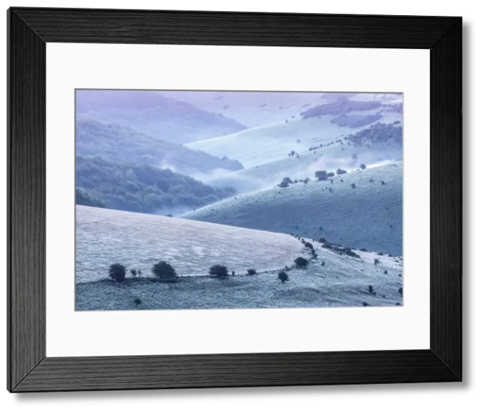 Framed Print : Rolling landscape covered in dew, Melbury Down from Melbury Hill, Cranborne Chase, Dorset, England, UK Framed Print : Rolling landscape covered in dew, Melbury Down from Melbury Hill, Cranborne Chase, Dorset, England, UK