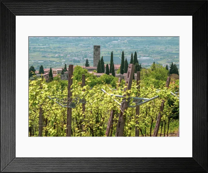 Framed Print : Europe, Italy, Veneto. The tiny village of San Giorgio in Valpolicella Framed Print : Europe, Italy, Veneto. The tiny village of San Giorgio in Valpolicella