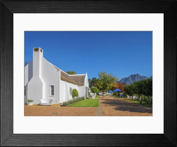 Framed Print : Autumnal Colours at Allee Bleue Vineyard, Franschhoek, Western Cape Province, South Africa
