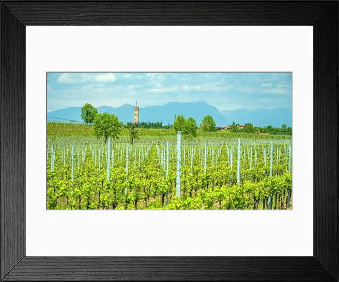 Framed Print : Europe, Italy, Lombardy. The Tower of San Martino della Battaglia near to Pozzolengo in the Lugana wine area Framed Print : Europe, Italy, Lombardy. The Tower of San Martino della Battaglia near to Pozzolengo in the Lugana wine area