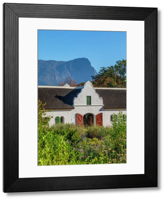 Framed Print : Cape Dutch Architecture on La Motte Wine Estate, Franschhoek Valley, Franschhoek, Western Cape Province, South Africa Framed Print : Cape Dutch Architecture on La Motte Wine Estate, Franschhoek Valley, Franschhoek, Western Cape Province, South Africa