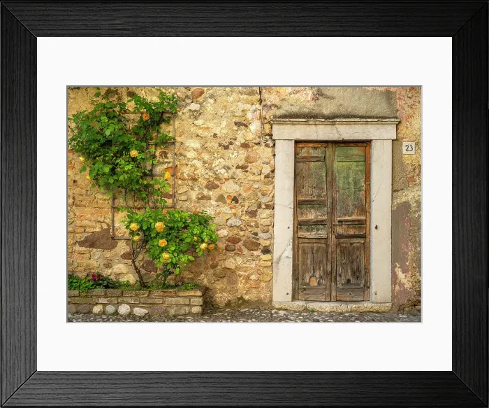 Framed Print : Europe, Italy, Lombardy. Beautiful old door with a rose plant. Inside the Castle of Pozzolengo